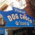 Dog Choco o choco-bau