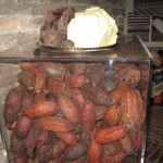 cacao cacao!!