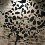 mostra cerp masciolini corey duca 014