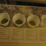 DEGUSTAZIONE OLIO E CAFFE' 031